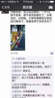 圈内爆料瓜农,瓜农背后的惊人真相大揭秘  第2张