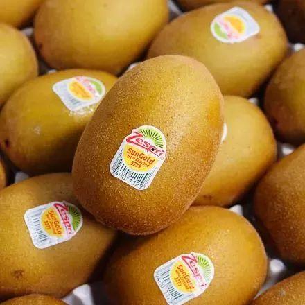 网红水果爆料视频,揭秘热门水果背后的秘密  第2张